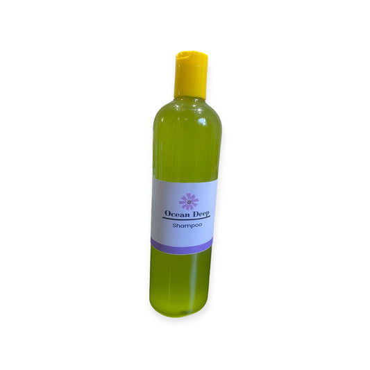 Shampoo de Aloe Vera 500ml